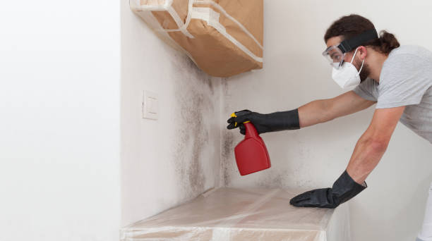 Professional Mold Remediation technician working in Edgewood, TX